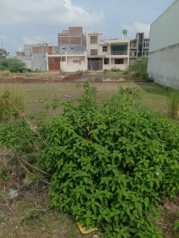 Garden, matiyari  2600 Sq.Ft. Plot In Matiyari Lucknow 8926705