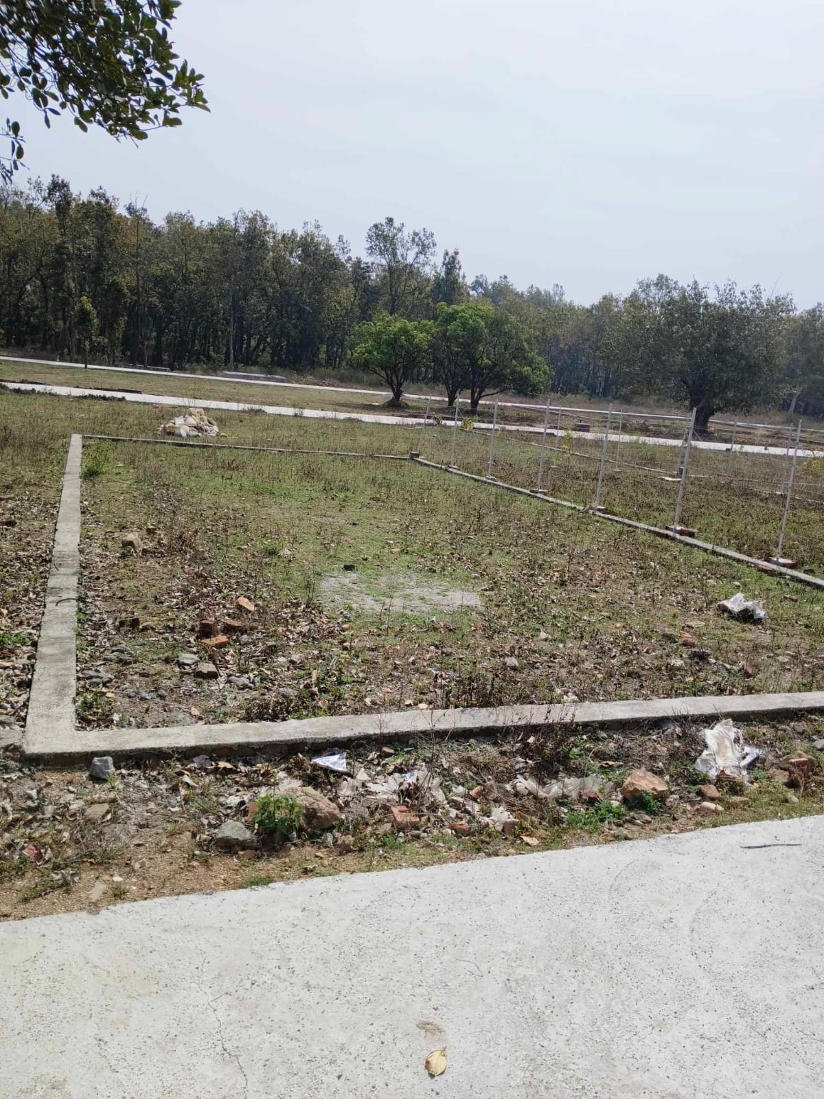 Plot For Sale in Bidholi