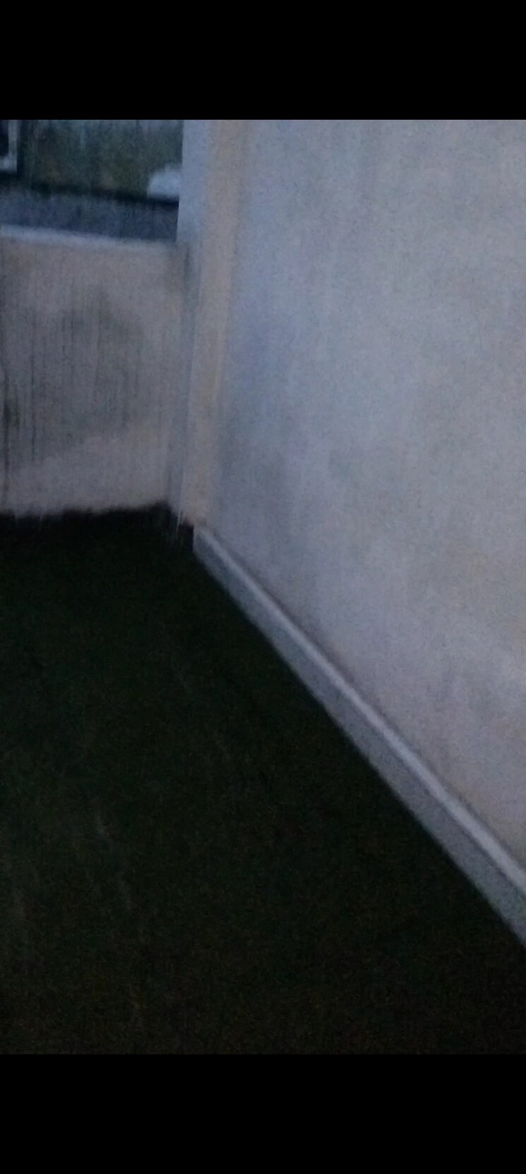 Room, ambesten-twin-county 1 RK 500 Sq.Ft. Builder Floor In Sector 1 Greater Noida Greater Noida 8926848