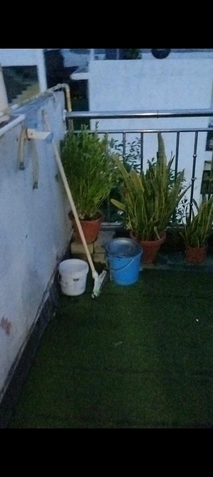 Garden, ambesten-twin-county 1 RK 500 Sq.Ft. Builder Floor In Sector 1 Greater Noida Greater Noida 8926848