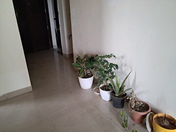 Living Room in 2 BHK Apartment at Shapoorji Pallonji Joyville Phase 2, Sector 102 – for Rent