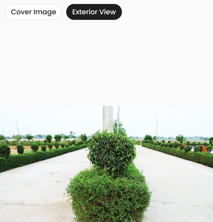 Garden, sector 162  150 Sq.Yd. Plot In Sector 162 Noida 8927092