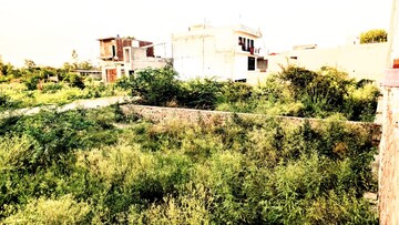  Plot – Exterior View View at Sector 144 - for Sale