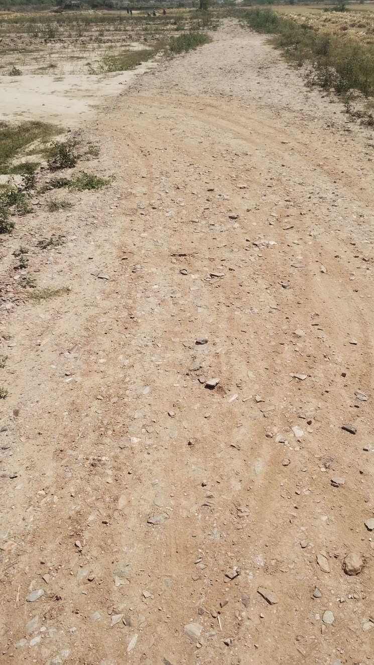 undefined, bamnikhera  105 Sq.Yd. Plot In Bamnikhera Palwal 8927796