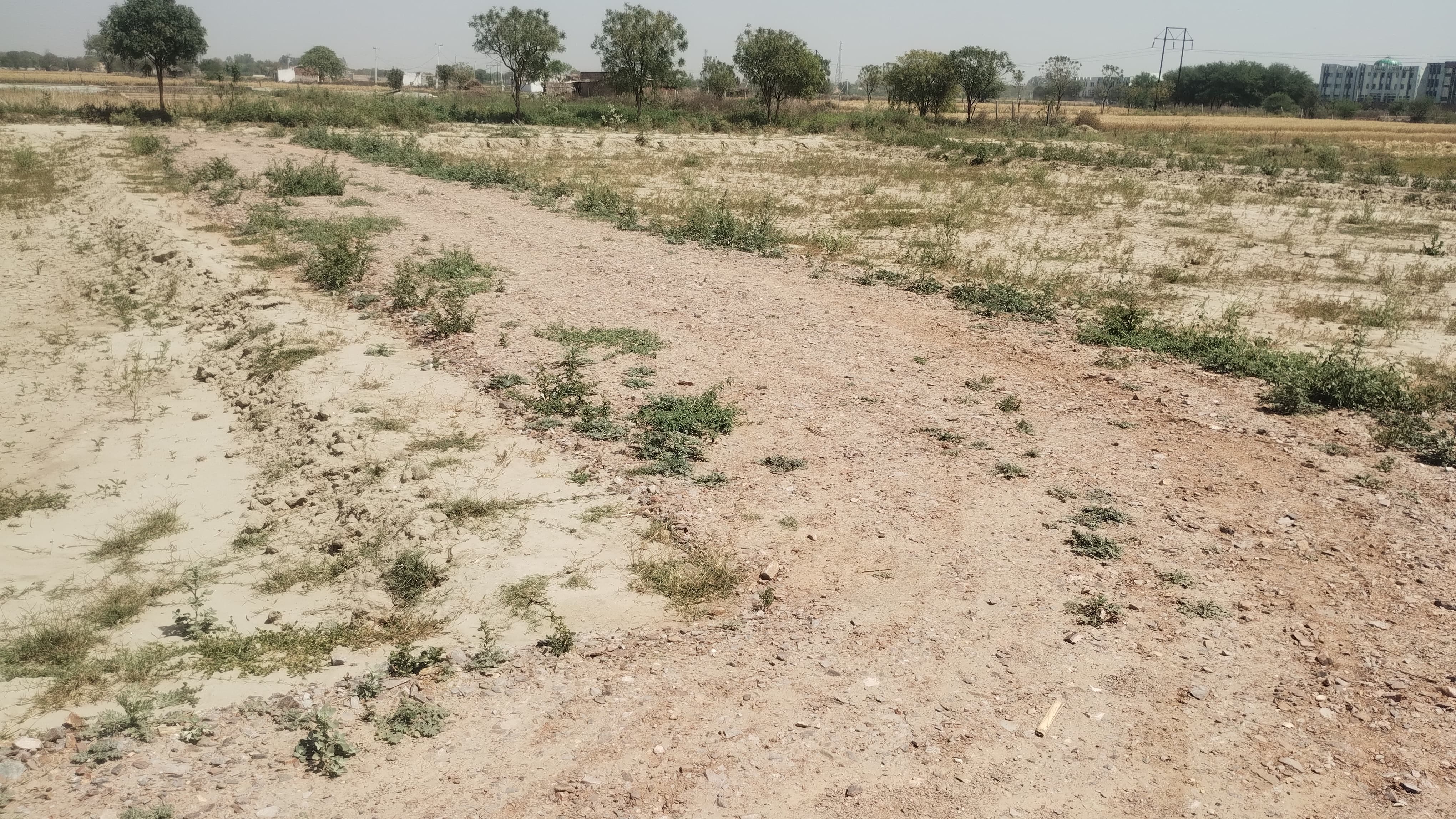 Plot For Sale in Lrg Group 