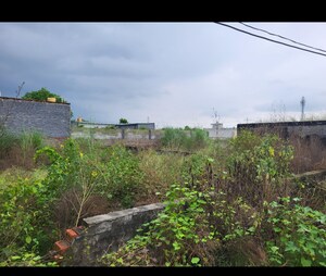  Plot For Sale in Kaliawas