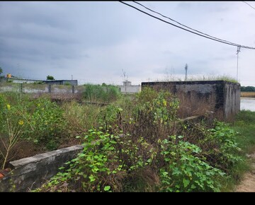 Plot Area in  Plot at Kaliawas – for Sale