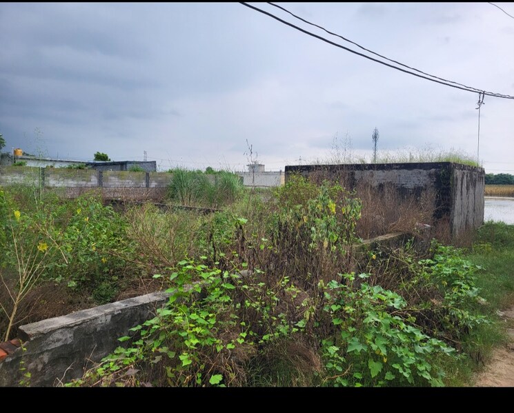 undefined, kaliawas  400 Sq.Yd. Plot In Kaliawas Gurgaon 8927808