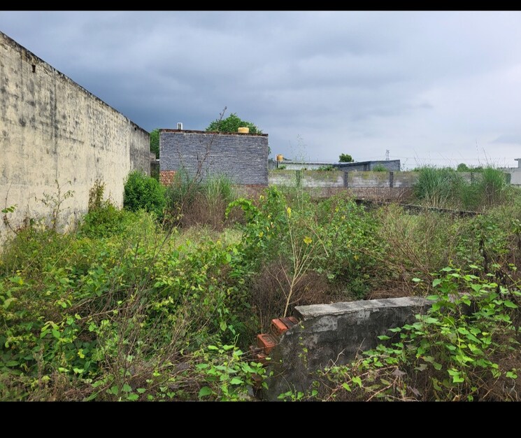 Garden, kaliawas  400 Sq.Yd. Plot In Kaliawas Gurgaon 8927808