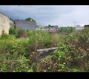 Plot Area in  Plot at Kaliawas – for Sale