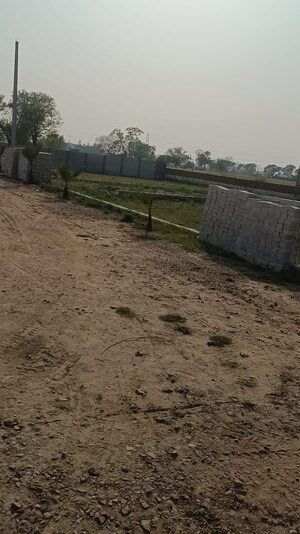 Plot Area in  Plot at Om Drona City, Dankaur – for Sale