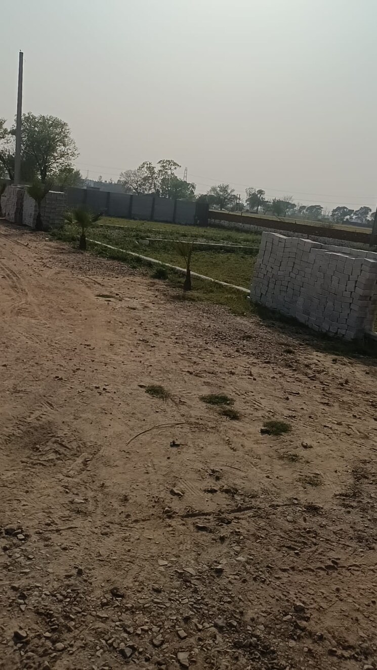 undefined, om-drona-city  60 Sq.Yd. Plot In Dankaur Greater Noida 8927847