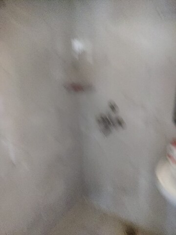  2 BHK Apartment at Pivotal Riddhi Siddhi, Sector 99 – for Rent