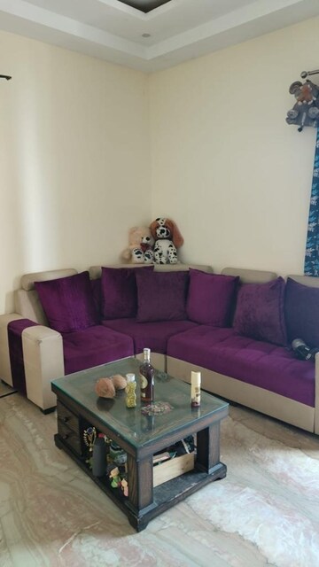 Living Room in 3 BHK Apartment at Tulip White, Sector 69 – for Rent