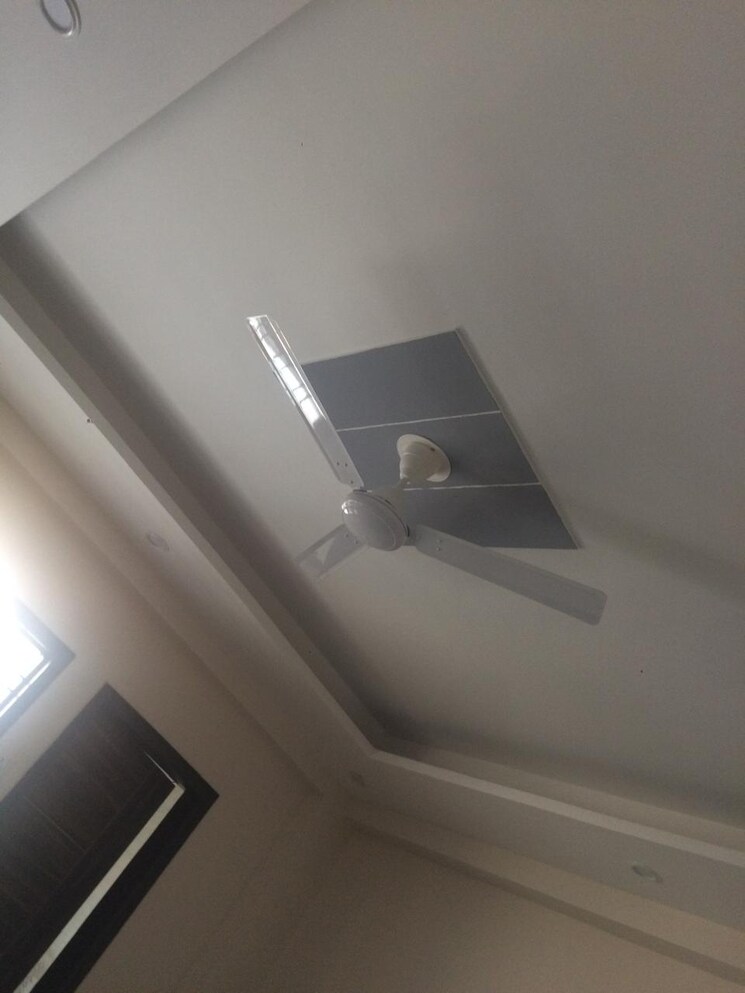 undefined, sector 51 2 Bedroom 1200 Sq.Ft. Builder Floor In Sector 51 Gurgaon 8928167