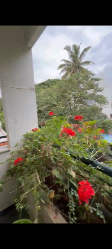 2 BHK Apartment – Garden View at Halasuru - for Rent
