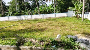 Plot Area in  Plot at Parottukonam – for Sale