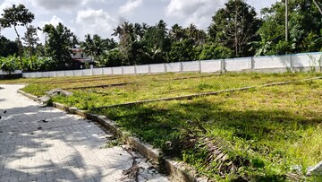 Plot Area in  Plot at Parottukonam – for Sale