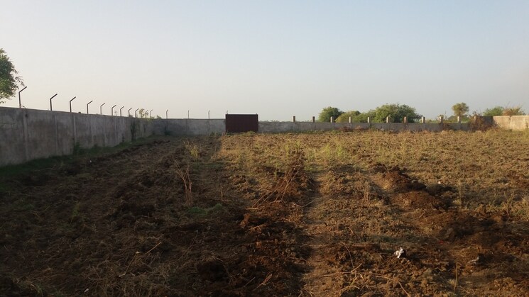 undefined, sector 88  90 Sq.Yd. Plot In Sector 88 Faridabad 8928654