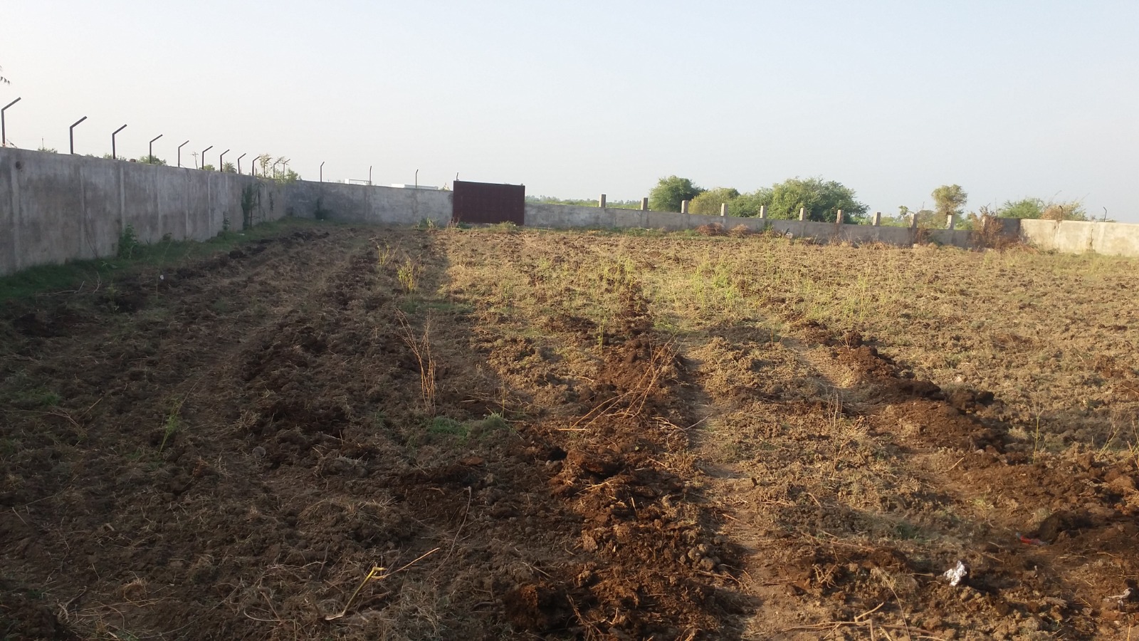 Plot For Sale in J K Group