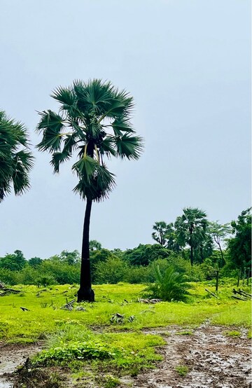  Plot – Exterior View View at Palghar - for Sale