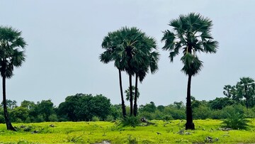  Plot – Exterior View View at Palghar - for Sale