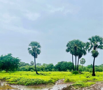  Plot – Exterior View View at Palghar - for Sale