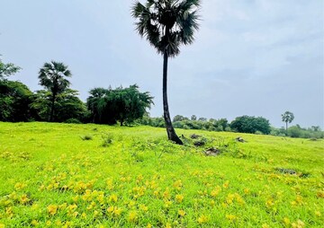  Plot For Sale in Palghar