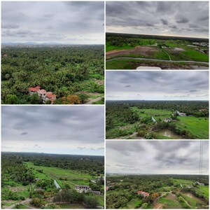 1 BHK Apartment – Garden View at Shapoorji Pallonji Joyville, Virar West - for Sale