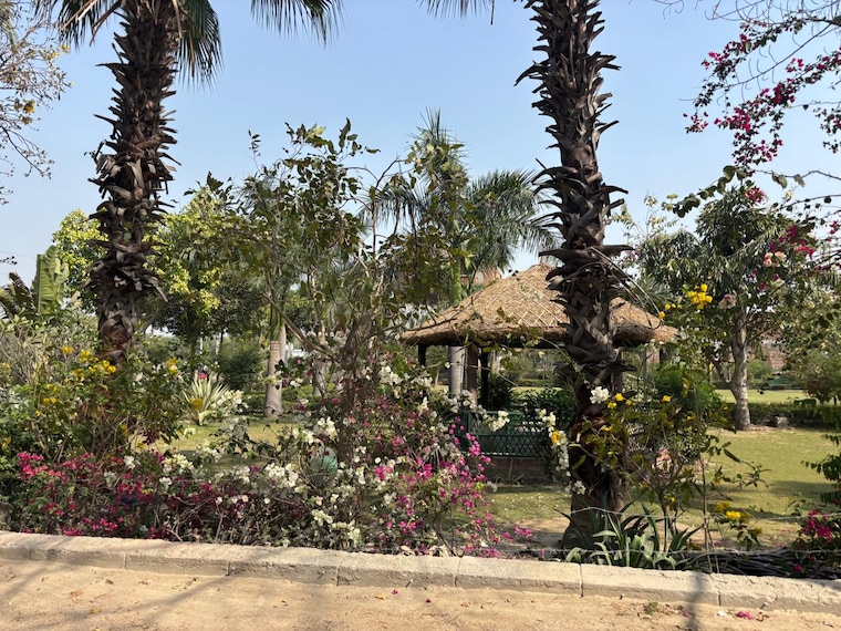 Garden, zestha-bhagirath-vihar-residency  200 Sq.Yd. Plot In Sector 27 Yamuna Expressway Greater Noida 8928959
