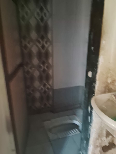 1 BHK Apartment For Rent in Vishnu Paradise 