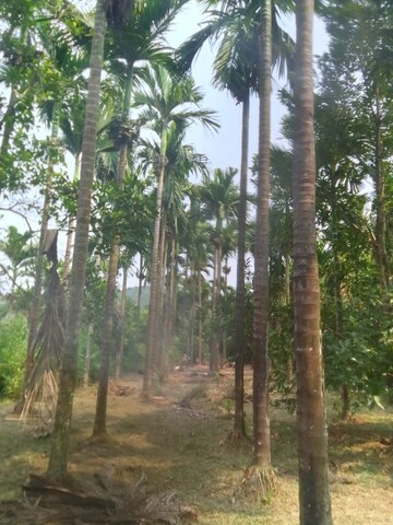  Plot – Garden View at Shrivardhan - for Sale