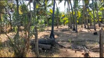  Plot For Sale in Shrivardhan
