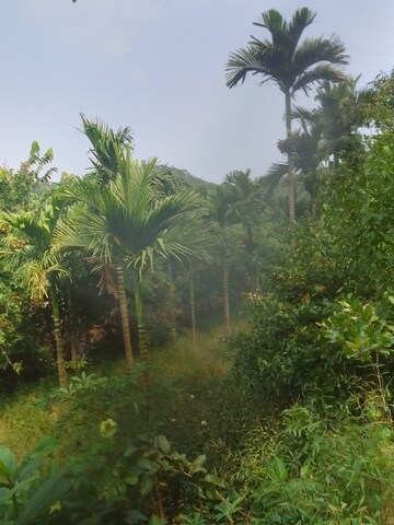  Plot – Garden View at Shrivardhan - for Sale