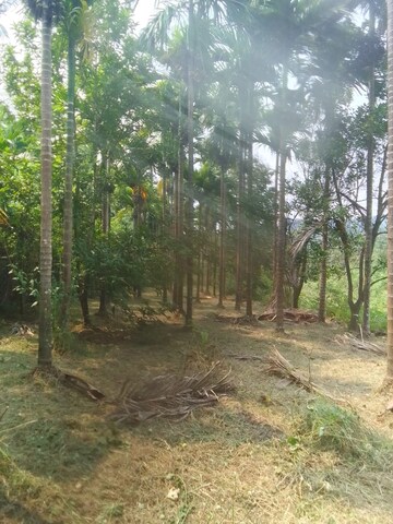 Plot Area in  Plot at Shrivardhan – for Sale