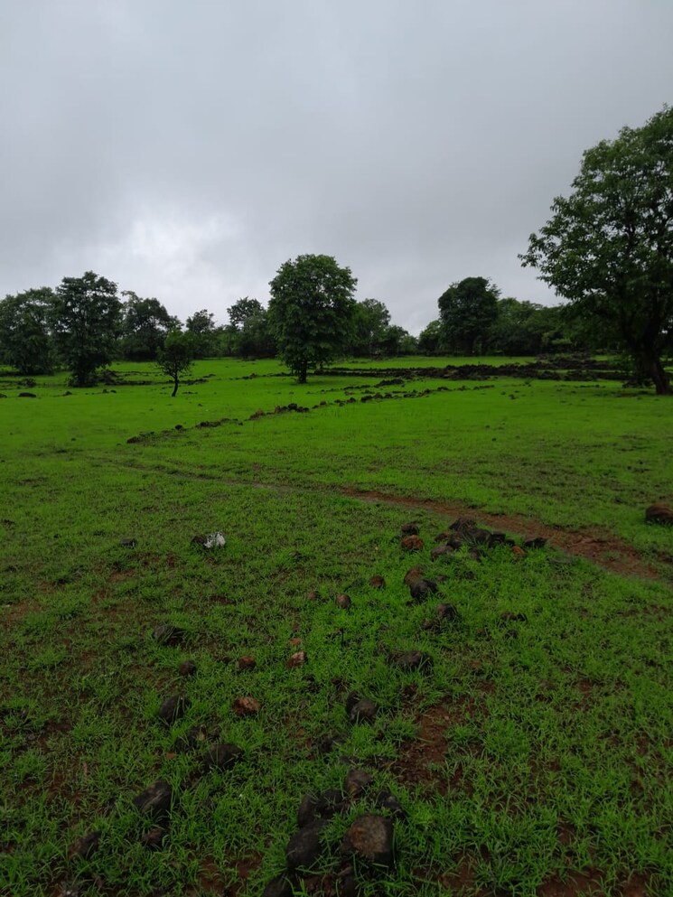 Garden, mandangad  4 Acre Plot In Mandangad Ratnagiri 8929399
