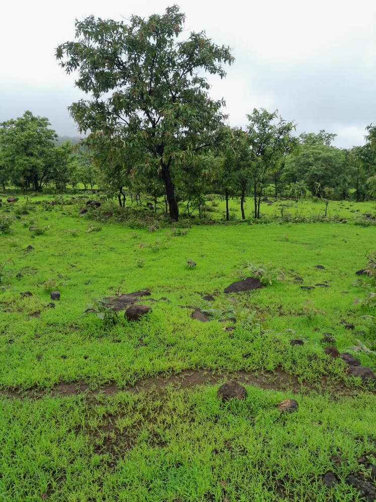 undefined, mandangad  4 Acre Plot In Mandangad Ratnagiri 8929399