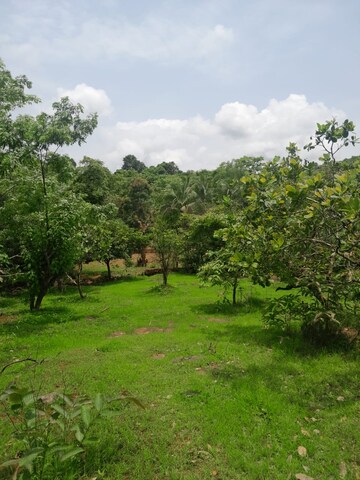 Plot – Garden View at Dapoli - for Sale