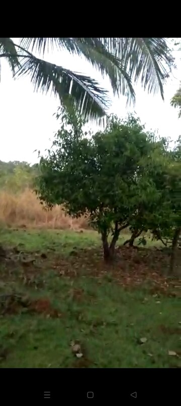 Plot Area in  Plot at Dapoli – for Sale