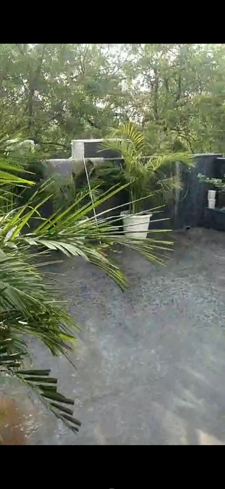 Exterior View, panchsheel park 2 Bedroom 900 Sq.Ft. Builder Floor In Panchsheel Park Delhi 8929730