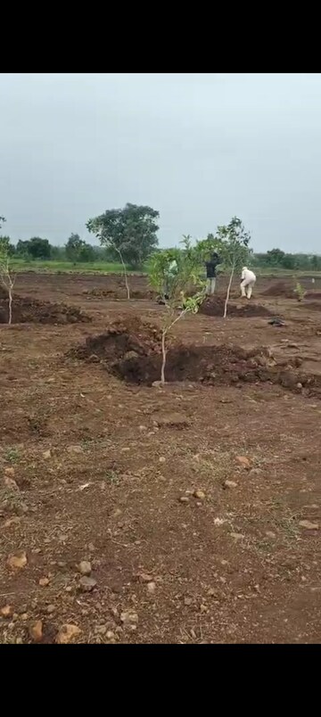 Plot Area in  Land at Sangareddy – for Sale