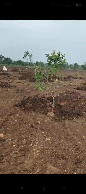 Plot Area in  Land at Sangareddy – for Sale