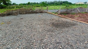 Plot Area in  Plot at Sejbahar – for Sale