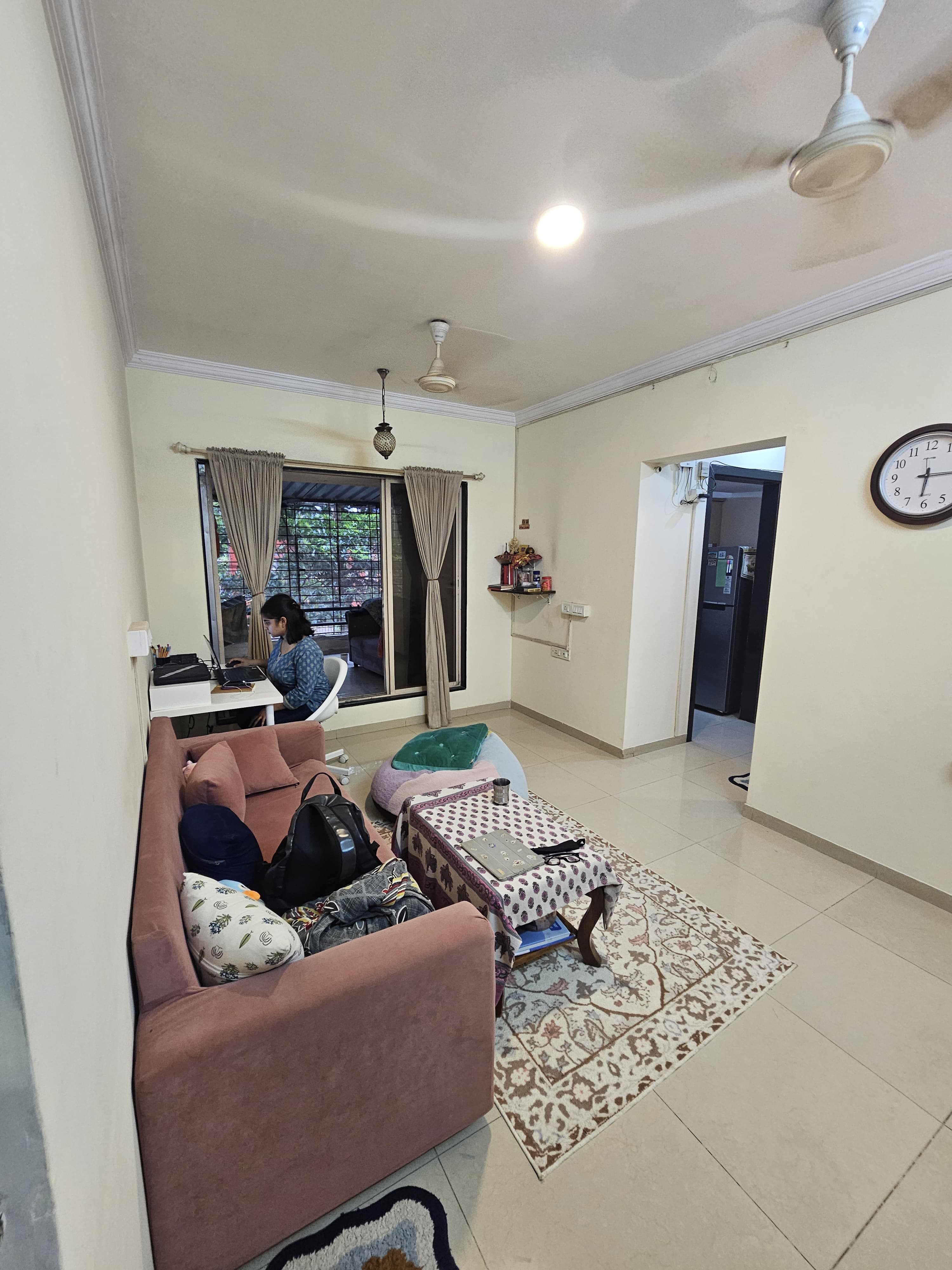 1 BHK Apartment For Rent in Bhoomi Park