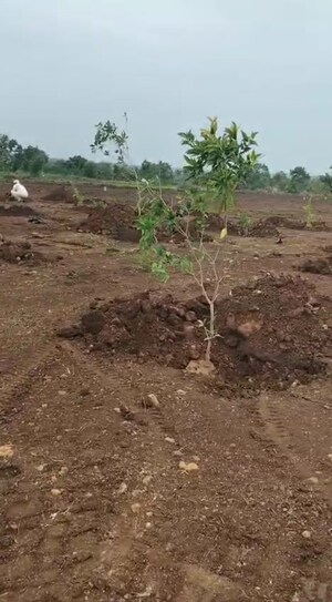Plot Area in  Land at Sangareddy – for Sale
