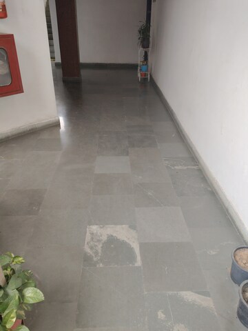  3 BHK Apartment at Sector 21c – for Rent