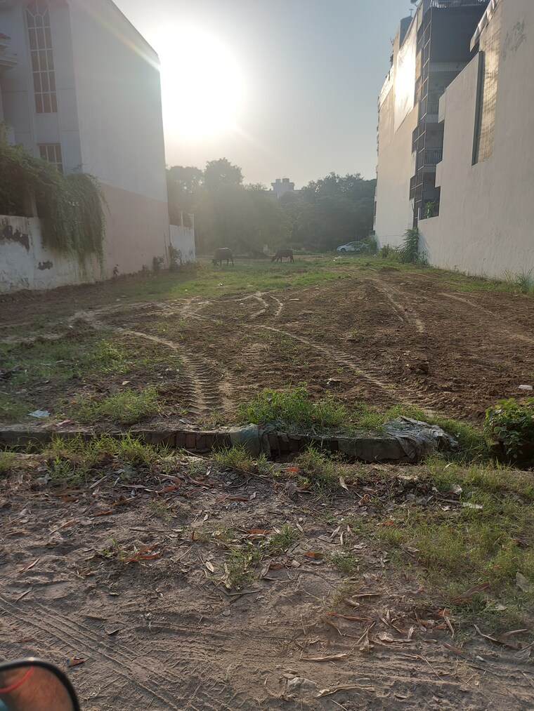 Garden, palam vihar  173 Sq.Yd. Plot In Palam Vihar Gurgaon 8930210