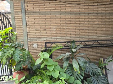 3 BHK Apartment – Exterior View View at Sarita Vihar Pocket-G RWA, Sarita Vihar - for Rent