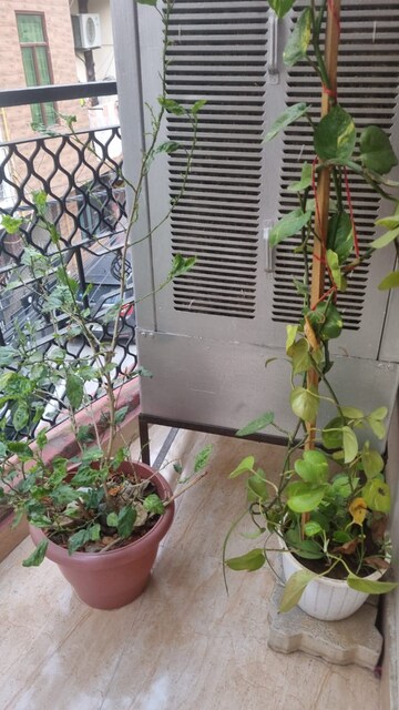 Balcony in 3 BHK Independent House at Chattarpur – for Rent