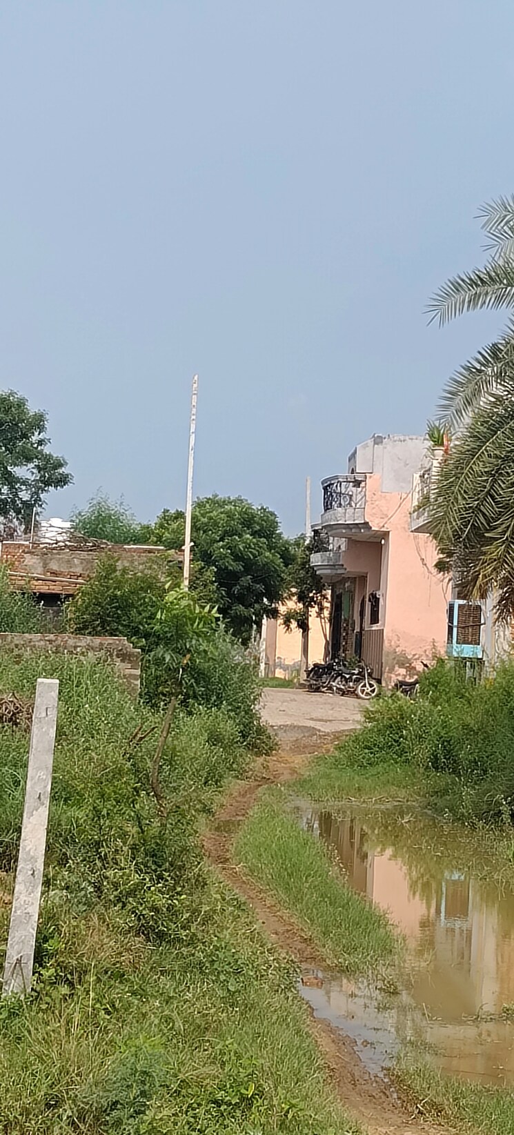 Garden, cullak pur  100 Sq.Yd. Plot In Cullak Pur Delhi 8930436